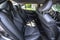 2024 Toyota Camry SE Nightshade